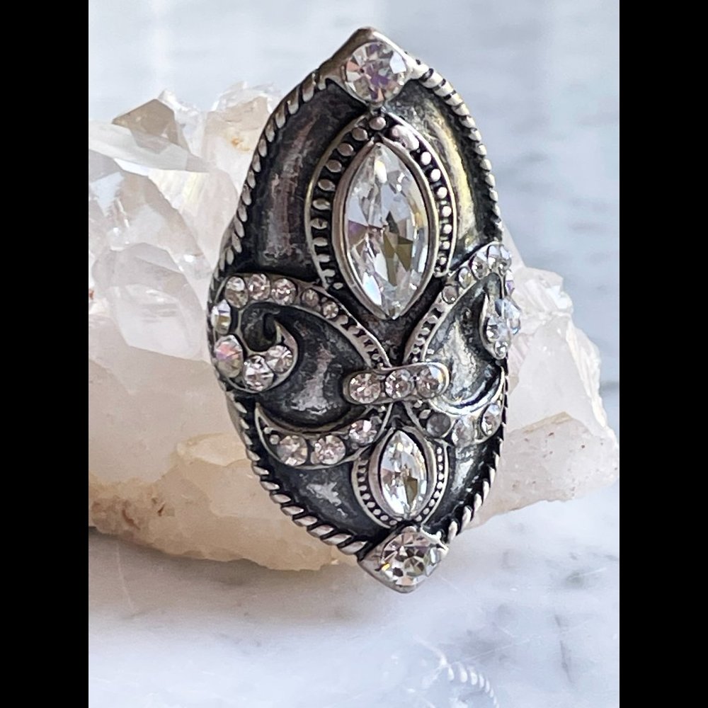 Antiqued Silver Fleur-de-Lis Shield Style Statement Ring, Stretch Sizing